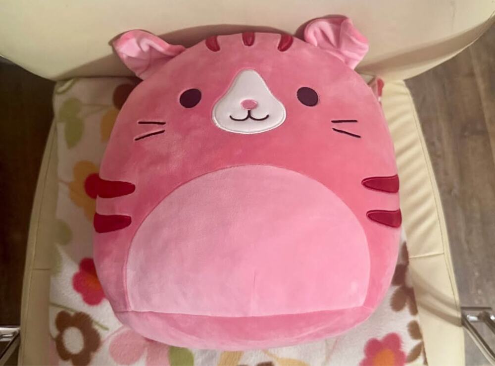 12-inch Geraldine the Pink Scottish Fold Cat Squishmallow